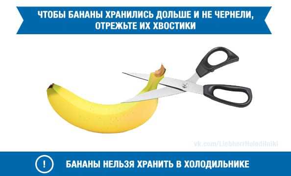 soveti-kak-prodlit-srok-xraneniya-edi-1xf5t5jj Как правильно хранить продукты, чтобы они оставались свежими дольше
