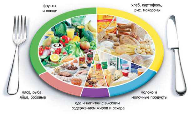 izuchenie-roli-ovoshej-v-lyubvi-lf9acr0l Разберем важность овощей для развития любовных отношений.